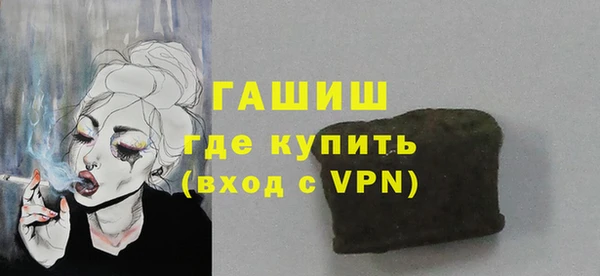 дживик Инта