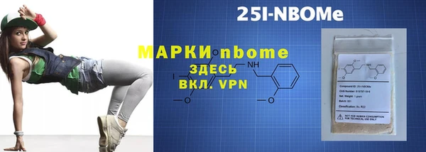 дживик Инта