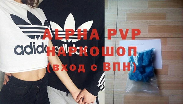 дживик Инта