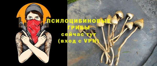 не бодяженный Зеленодольск