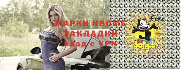 шишки Заволжье