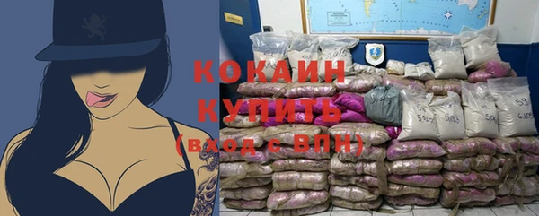 дживик Инта